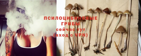 альфа пвп Нефтегорск