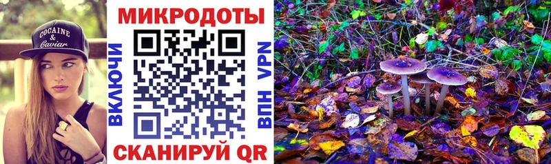 Галлюциногенные грибы мицелий  Стрежевой 