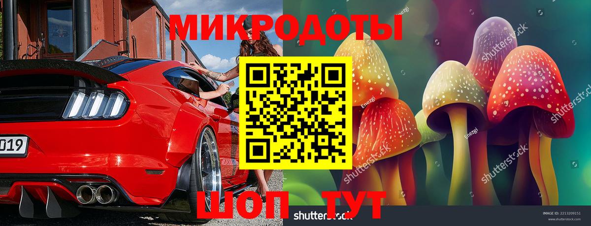 Псилоцибиновые грибы Cubensis Стрежевой